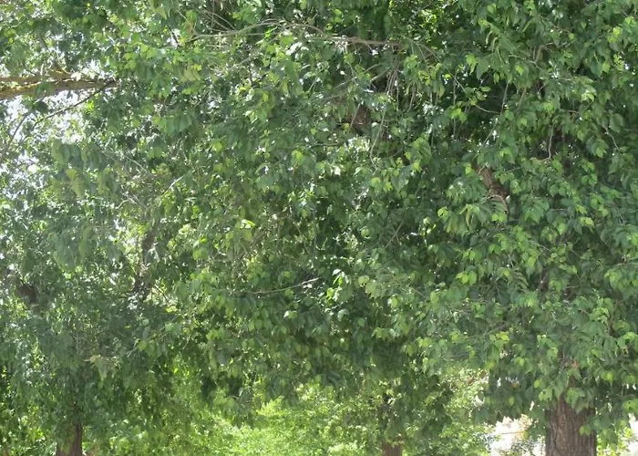 La Сasa de vacaciones *